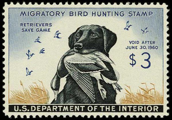 Federal Duck Stamps RW Stamp Auctions